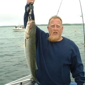 Meet your Posher, Bob